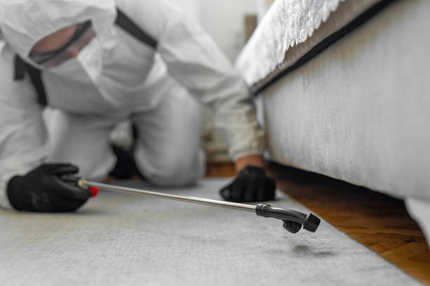 Professional Termite Control technician working in Belterra, TX